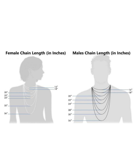 Snake Chain Necklace