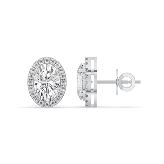 Oval Halo Stud Earrings