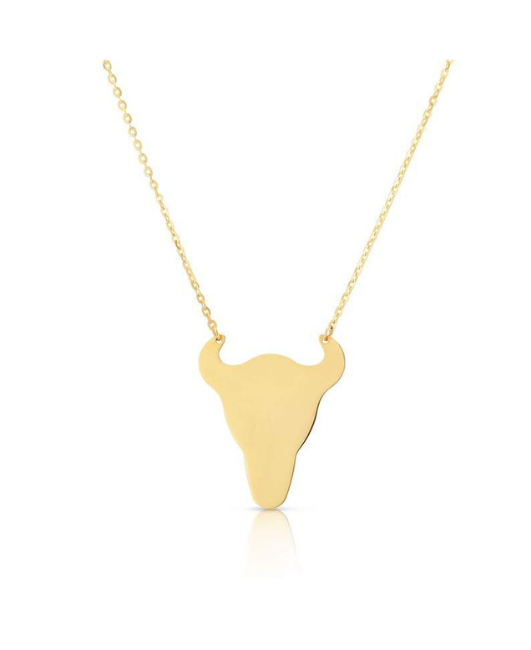 14k Gold Southwest Necklace Collection, Horseshoe, Cowboy Boot, LongHorn, Horse, Cactus , Pendant, Real Gold